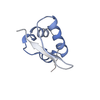11440_6zuo_Z_v1-0
Human RIO1(kd)-StHA late pre-40S particle, structural state A (pre 18S rRNA cleavage)