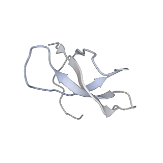 11440_6zuo_c_v1-0
Human RIO1(kd)-StHA late pre-40S particle, structural state A (pre 18S rRNA cleavage)