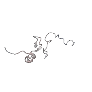 11440_6zuo_d_v1-0
Human RIO1(kd)-StHA late pre-40S particle, structural state A (pre 18S rRNA cleavage)