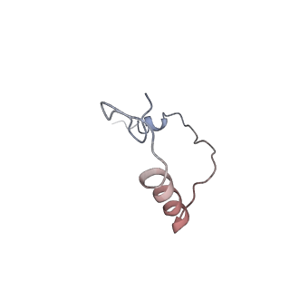 11440_6zuo_e_v1-0
Human RIO1(kd)-StHA late pre-40S particle, structural state A (pre 18S rRNA cleavage)