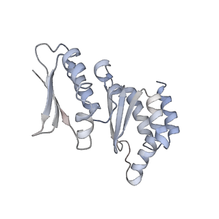 11440_6zuo_x_v1-0
Human RIO1(kd)-StHA late pre-40S particle, structural state A (pre 18S rRNA cleavage)