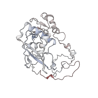 11440_6zuo_y_v1-0
Human RIO1(kd)-StHA late pre-40S particle, structural state A (pre 18S rRNA cleavage)