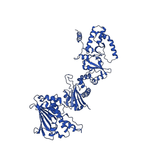 14971_7zub_A_v1-2
Cryo-EM structure of the indirubin-bound Hsp90-XAP2-AHR complex