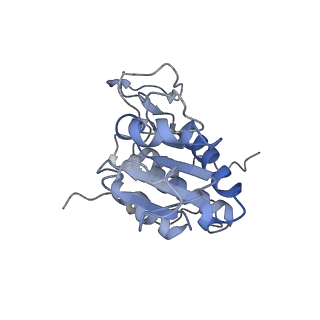 14978_7zuw_AA_v1-1
Structure of RQT (C1) bound to the stalled ribosome in a disome unit from S. cerevisiae