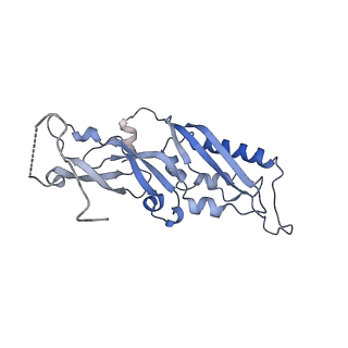 14978_7zuw_AB_v1-1
Structure of RQT (C1) bound to the stalled ribosome in a disome unit from S. cerevisiae