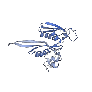 14978_7zuw_AC_v1-1
Structure of RQT (C1) bound to the stalled ribosome in a disome unit from S. cerevisiae