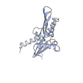 14978_7zuw_AD_v1-1
Structure of RQT (C1) bound to the stalled ribosome in a disome unit from S. cerevisiae
