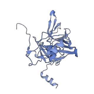 14978_7zuw_AE_v1-1
Structure of RQT (C1) bound to the stalled ribosome in a disome unit from S. cerevisiae