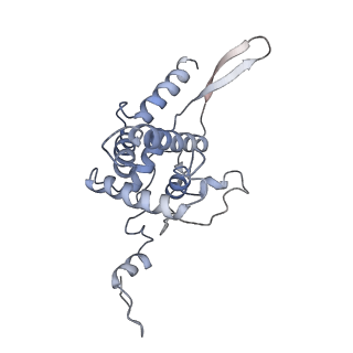 14978_7zuw_AF_v1-1
Structure of RQT (C1) bound to the stalled ribosome in a disome unit from S. cerevisiae