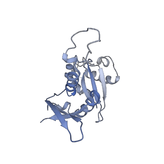 14978_7zuw_AH_v1-1
Structure of RQT (C1) bound to the stalled ribosome in a disome unit from S. cerevisiae