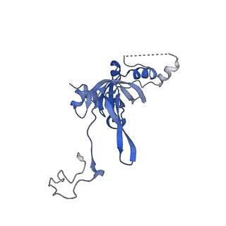 14978_7zuw_AI_v1-1
Structure of RQT (C1) bound to the stalled ribosome in a disome unit from S. cerevisiae