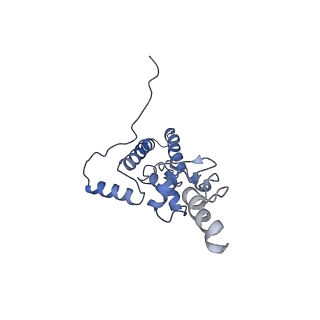 14978_7zuw_AJ_v1-1
Structure of RQT (C1) bound to the stalled ribosome in a disome unit from S. cerevisiae