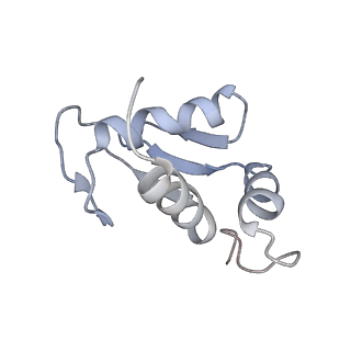14978_7zuw_AK_v1-1
Structure of RQT (C1) bound to the stalled ribosome in a disome unit from S. cerevisiae