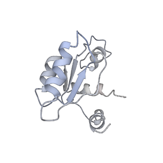 14978_7zuw_AM_v1-1
Structure of RQT (C1) bound to the stalled ribosome in a disome unit from S. cerevisiae