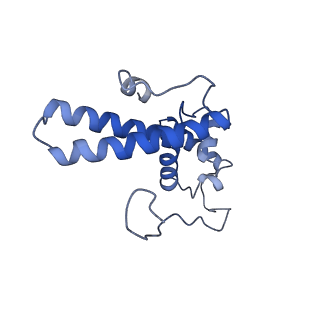 14978_7zuw_AN_v1-1
Structure of RQT (C1) bound to the stalled ribosome in a disome unit from S. cerevisiae