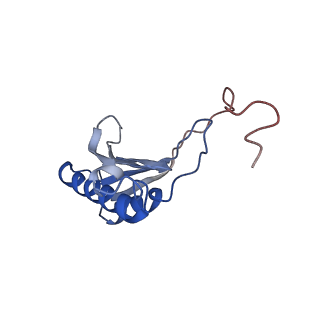14978_7zuw_AO_v1-1
Structure of RQT (C1) bound to the stalled ribosome in a disome unit from S. cerevisiae