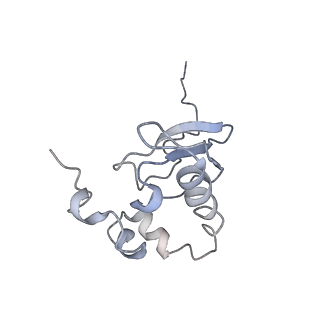 14978_7zuw_AP_v1-1
Structure of RQT (C1) bound to the stalled ribosome in a disome unit from S. cerevisiae