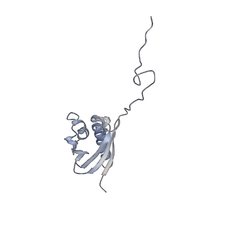 14978_7zuw_AQ_v1-1
Structure of RQT (C1) bound to the stalled ribosome in a disome unit from S. cerevisiae