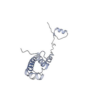 14978_7zuw_AR_v1-1
Structure of RQT (C1) bound to the stalled ribosome in a disome unit from S. cerevisiae