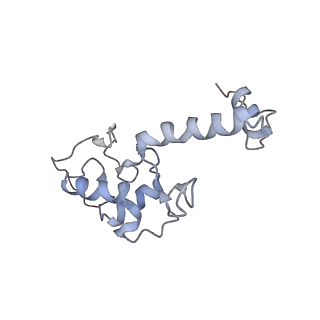 14978_7zuw_AS_v1-1
Structure of RQT (C1) bound to the stalled ribosome in a disome unit from S. cerevisiae