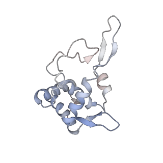 14978_7zuw_AT_v1-1
Structure of RQT (C1) bound to the stalled ribosome in a disome unit from S. cerevisiae
