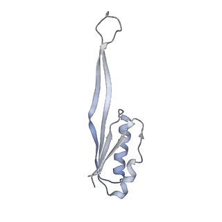 14978_7zuw_AU_v1-1
Structure of RQT (C1) bound to the stalled ribosome in a disome unit from S. cerevisiae