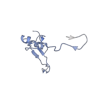 14978_7zuw_AV_v1-1
Structure of RQT (C1) bound to the stalled ribosome in a disome unit from S. cerevisiae