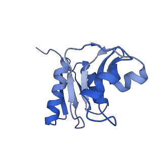 14978_7zuw_AW_v1-1
Structure of RQT (C1) bound to the stalled ribosome in a disome unit from S. cerevisiae