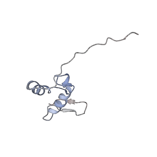 14978_7zuw_AZ_v1-1
Structure of RQT (C1) bound to the stalled ribosome in a disome unit from S. cerevisiae