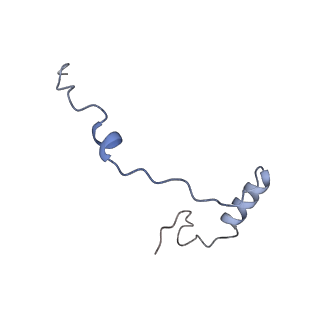 14978_7zuw_Ae_v1-1
Structure of RQT (C1) bound to the stalled ribosome in a disome unit from S. cerevisiae