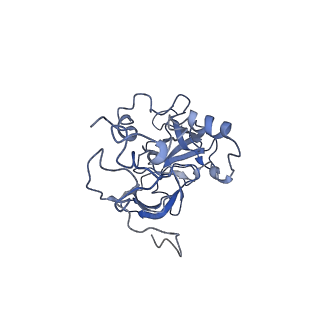 14978_7zuw_BA_v1-1
Structure of RQT (C1) bound to the stalled ribosome in a disome unit from S. cerevisiae
