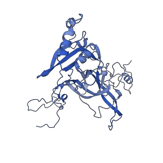 14978_7zuw_BB_v1-1
Structure of RQT (C1) bound to the stalled ribosome in a disome unit from S. cerevisiae