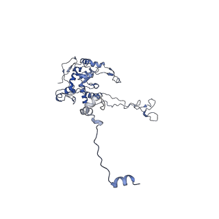 14978_7zuw_BC_v1-1
Structure of RQT (C1) bound to the stalled ribosome in a disome unit from S. cerevisiae