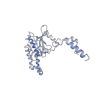 14978_7zuw_BD_v1-1
Structure of RQT (C1) bound to the stalled ribosome in a disome unit from S. cerevisiae
