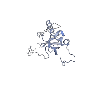 14978_7zuw_BE_v1-1
Structure of RQT (C1) bound to the stalled ribosome in a disome unit from S. cerevisiae