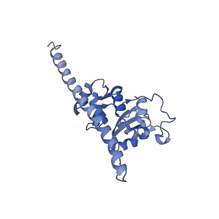 14978_7zuw_BF_v1-1
Structure of RQT (C1) bound to the stalled ribosome in a disome unit from S. cerevisiae
