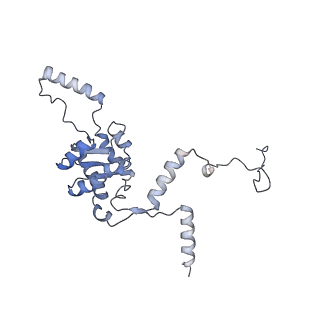 14978_7zuw_BG_v1-1
Structure of RQT (C1) bound to the stalled ribosome in a disome unit from S. cerevisiae