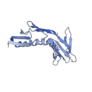 14978_7zuw_BH_v1-1
Structure of RQT (C1) bound to the stalled ribosome in a disome unit from S. cerevisiae