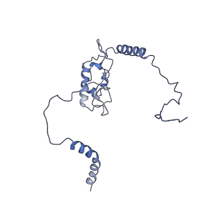 14978_7zuw_BK_v1-1
Structure of RQT (C1) bound to the stalled ribosome in a disome unit from S. cerevisiae