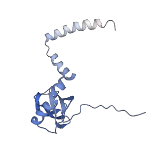 14978_7zuw_BL_v1-1
Structure of RQT (C1) bound to the stalled ribosome in a disome unit from S. cerevisiae