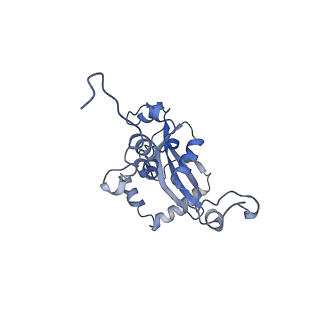 14978_7zuw_BM_v1-1
Structure of RQT (C1) bound to the stalled ribosome in a disome unit from S. cerevisiae