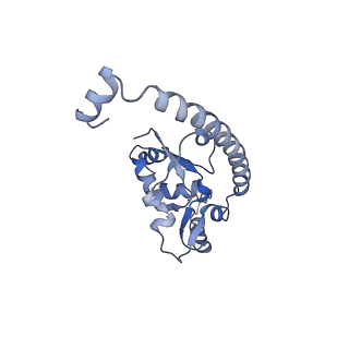 14978_7zuw_BN_v1-1
Structure of RQT (C1) bound to the stalled ribosome in a disome unit from S. cerevisiae