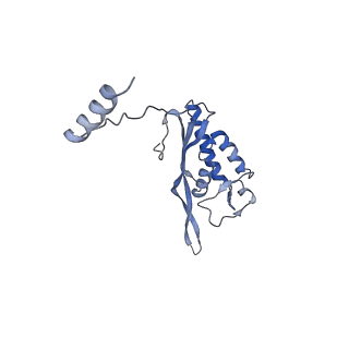 14978_7zuw_BO_v1-1
Structure of RQT (C1) bound to the stalled ribosome in a disome unit from S. cerevisiae