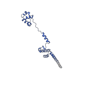 14978_7zuw_BQ_v1-1
Structure of RQT (C1) bound to the stalled ribosome in a disome unit from S. cerevisiae