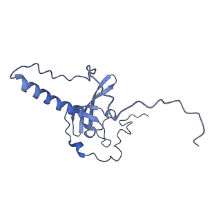 14978_7zuw_BS_v1-1
Structure of RQT (C1) bound to the stalled ribosome in a disome unit from S. cerevisiae
