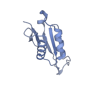 14978_7zuw_BT_v1-1
Structure of RQT (C1) bound to the stalled ribosome in a disome unit from S. cerevisiae