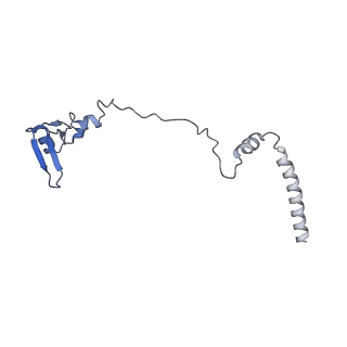 14978_7zuw_BV_v1-1
Structure of RQT (C1) bound to the stalled ribosome in a disome unit from S. cerevisiae