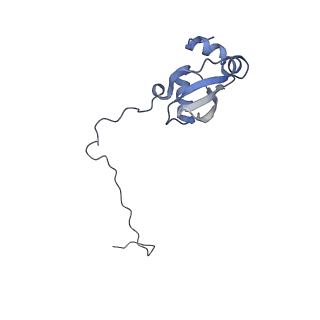 14978_7zuw_BW_v1-1
Structure of RQT (C1) bound to the stalled ribosome in a disome unit from S. cerevisiae
