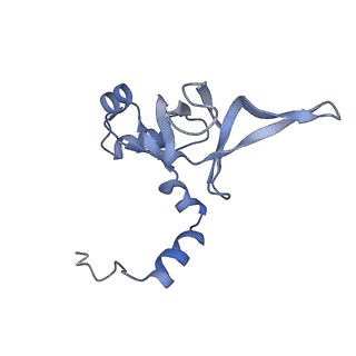 14978_7zuw_BX_v1-1
Structure of RQT (C1) bound to the stalled ribosome in a disome unit from S. cerevisiae
