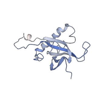 14978_7zuw_BY_v1-1
Structure of RQT (C1) bound to the stalled ribosome in a disome unit from S. cerevisiae